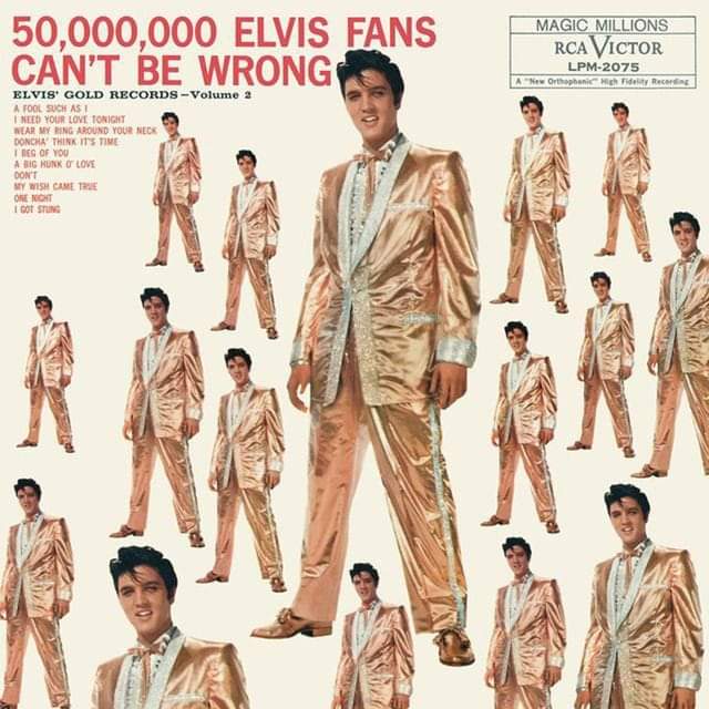 "Elvis Gold Records, Vol.2" por Mahnuel Muñoz
