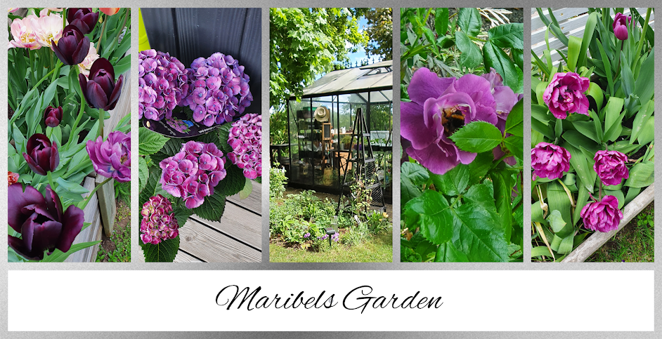Maribels Garden