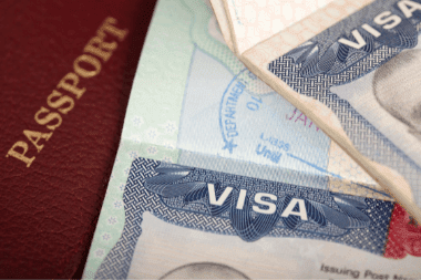 Visa Processes