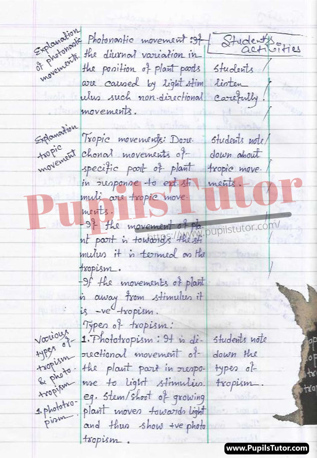 How To Make Biological Science Lesson Plan For Class 7 To 10 On Coordination In Plants In English – [Page And Photo 4] – pupilstutor.com