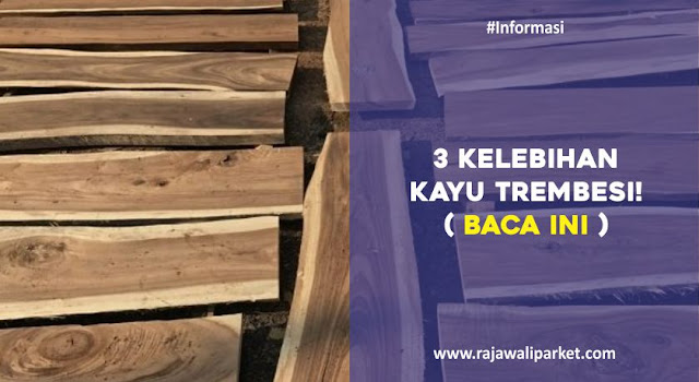 Mengenal Kayu Trembesi