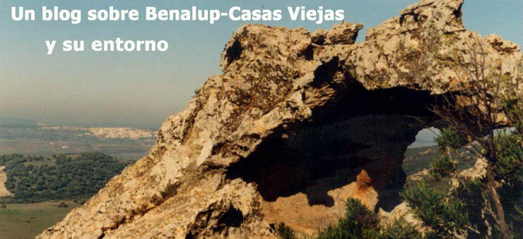 Un blog sobre Benalup-Casas Viejas y su entorno