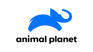 ASSISTIR Animal Planet Online - 24 HORAS - AO VIVO 