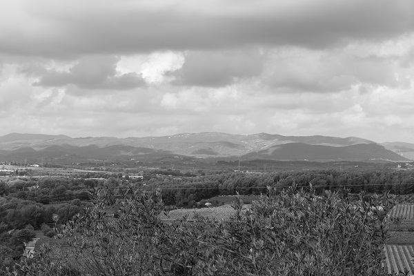 Exposición en blanco y negro