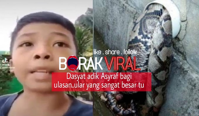 Netizen Puji Adik Haziq Petah Menyampaikan Berita 