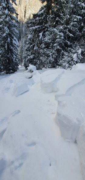 Abbiamo ricevuto varie informazioni relative al manto nevoso instabile anche nella zona boschiva: immagine dalla zona del Passo Stalle a circa 1800 m. (Foto: Andy Steinkasserer, 02.02.2022)