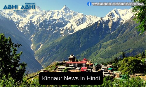 Kinnaur News in Hindi