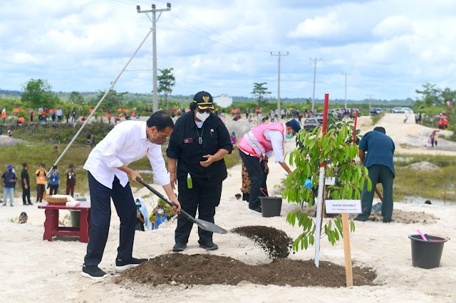 Presiden Jokowi Tanam Pohon Bersama Masyarakat di Sintang