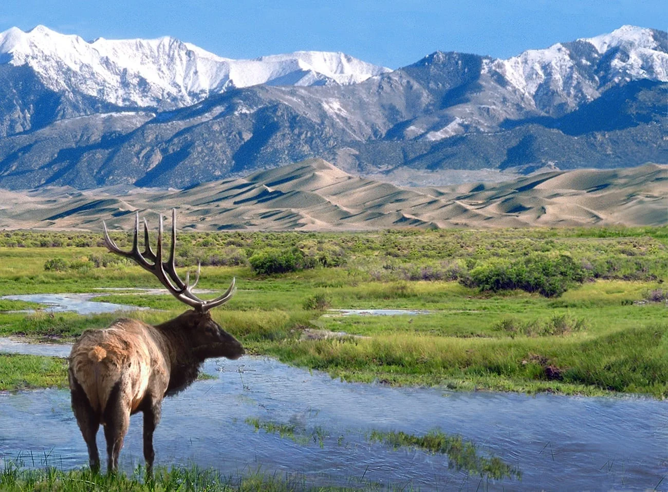 Great Sand Dunes National Park and Preserve