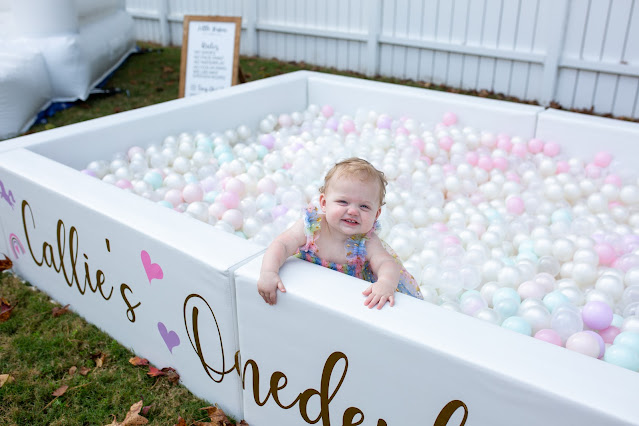 Customizable Ball Pit Rentals Charleston