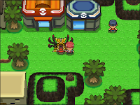 Pokemon Following Platinum Screenshot 09