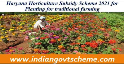 Haryana Horticulture Subsidy Scheme