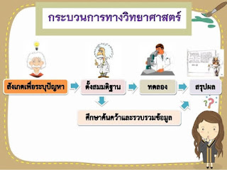 โหลดวิธีการทางวิทยาศาสตร์ PDF