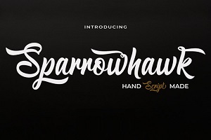 Sparrowhawk Script by Teuku Rinaldi Novianda | Max co Studio