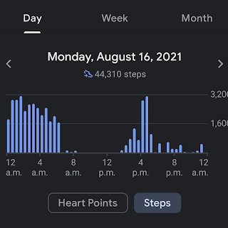 My 30,000 Steps a Day Google Fit data showing a bar graph.