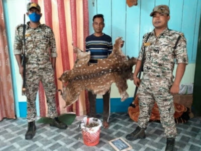 Man held with deer skin and Pangolin scale