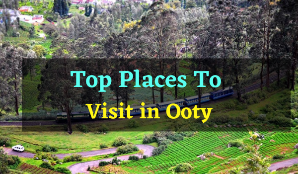 Top Places To Visit in Ooty