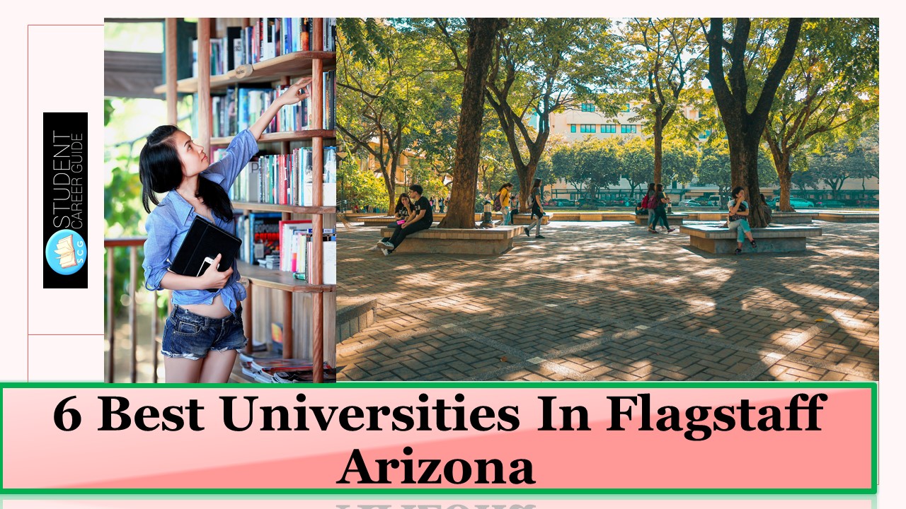 6 Best Universities In Flagstaff Arizona