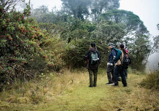 Empresarios de 27 países recorrerán Colombia buscando nuevos destinos turísticos 