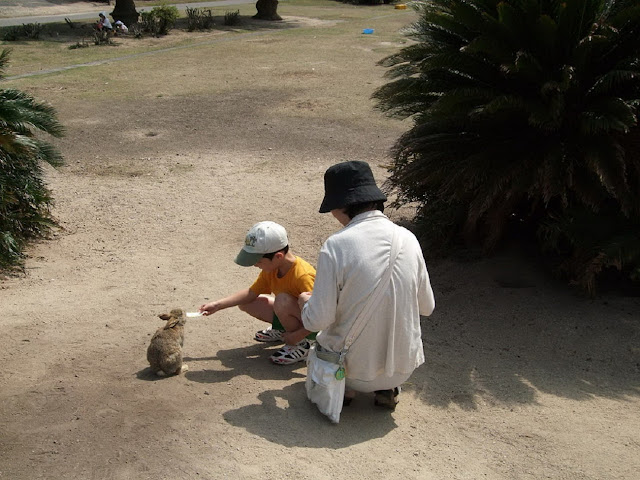 Кроличий остров в Японии: Окуносима