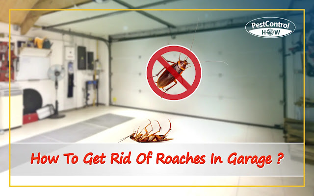 how-to-get-rid-of-roaches-in-garage