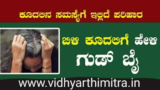 Hair fall tips in Kannada - Health Tips in Kannada