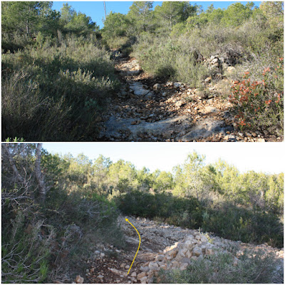 CIMS I COTES DEL BAIX PENEDÈS, EL VENDRELL-EL REPETIDOR-PUIG DEL LLEÓ-PUIG CLAPER-EL RAURELL-ROCA AGUILERA, corriol pedregós en direcció al Repetidor