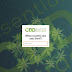 Essential CBD Extract jimdosite