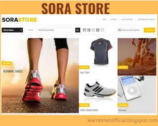 sora blogger template premium version free download