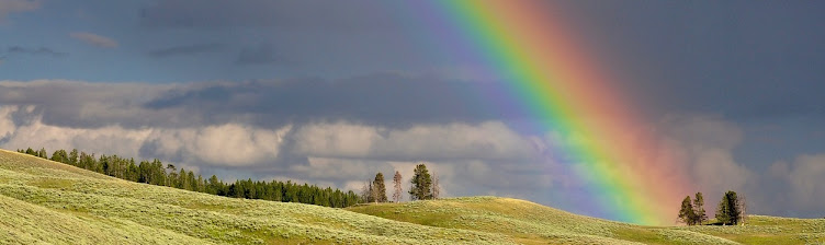 2024 Rainbow Gathering July 1-7