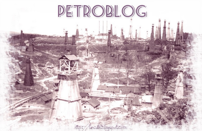 Petroblog