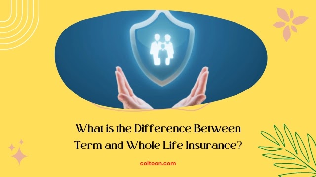 What is the Difference Between Term and Whole Life Insurance?