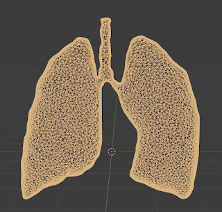 Lungs wire free 3d models fbx blend