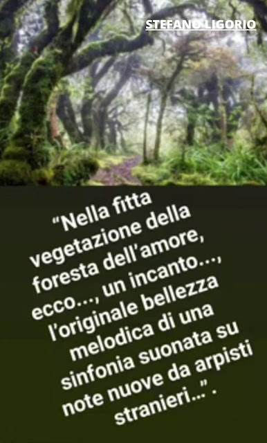 Poesia breve di Stefano Ligorio.