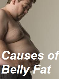 Causes of Belly Fat
