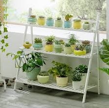 pot dekoratif untuk tanaman indoor