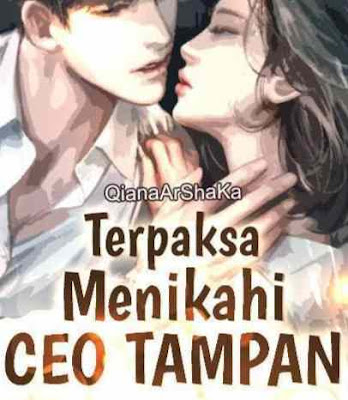 Novel Terpaksa Menikahi CEO Tampan Karya Qiana Arshaka Full Episode