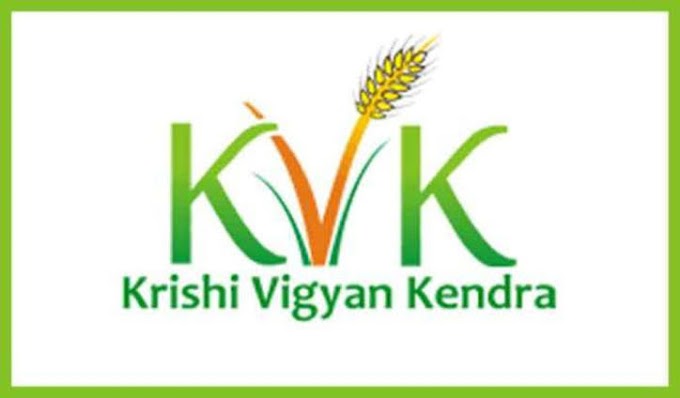 || GOVT JOB || ASSISTANT ACCOUNTANT VACANCY FOR FRESHER GRADUATE AT KVK