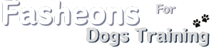 Fasheons For Dogs Training