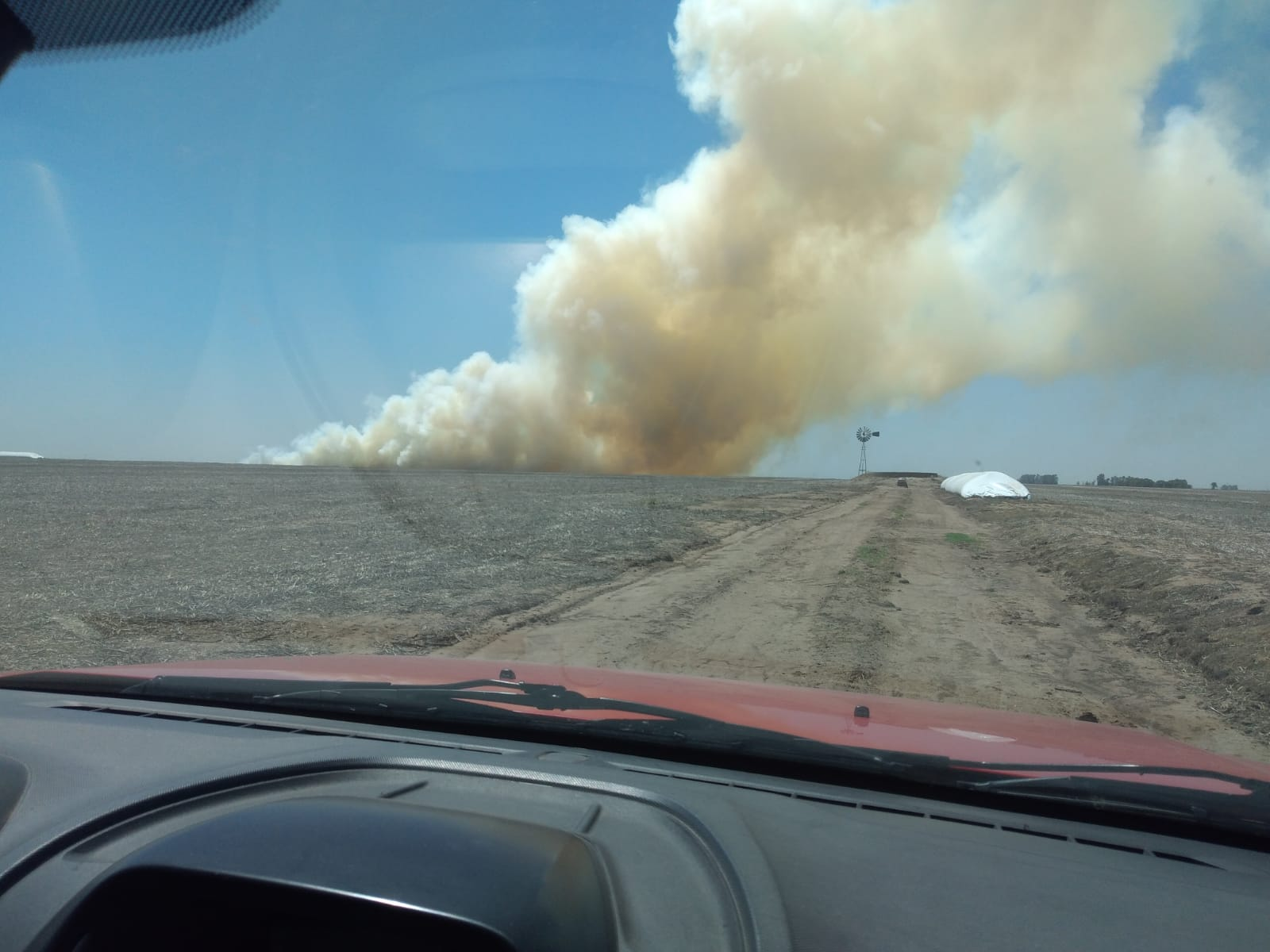 Incendio forestal en zona rural