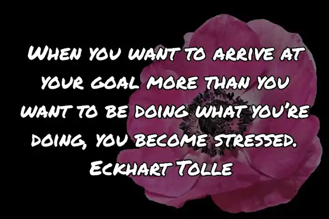 When you want to arrive at your goal more than you want to be doing what you’re doing, you become stressed. Eckhart Tolle