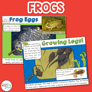 Informational Frog Life Cycle Unit