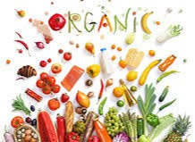 Organic Food