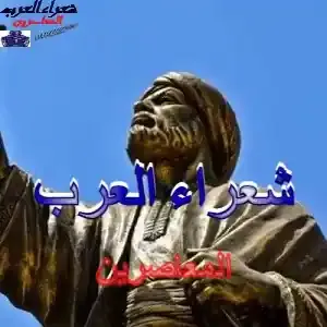 حصروا المشاعرَ في الشّبقْ