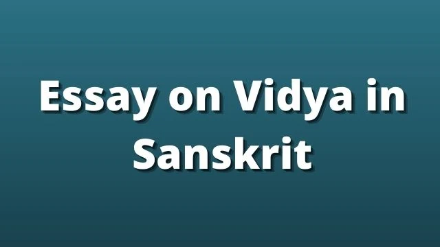 Essay on Vidya in Sanskrit