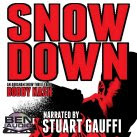 SNOW DOWN AUDIO