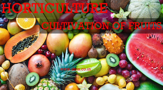 [VSQ]HORTICULTURE-CULTIVATION OF FRUITS, SET 8