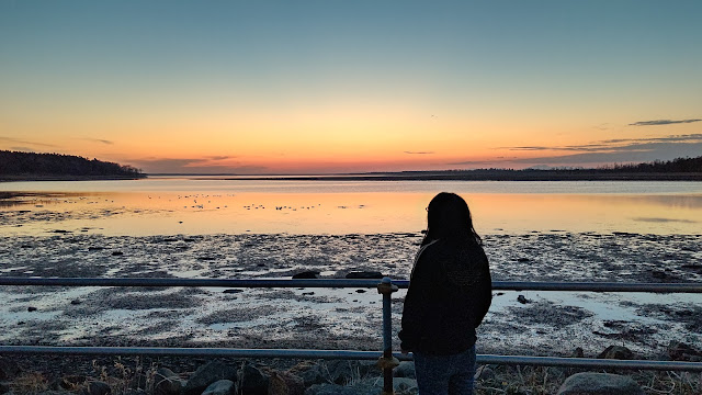 北海道 道東 根室 ホテル レイクサンセット 風蓮湖 夕日