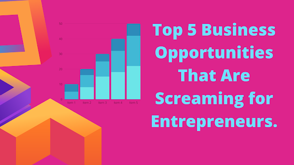 Top 5 Business Opportunities That Are Screaming for Entrepreneurs.