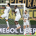BOTAFOGO VAI À PRIMEIRA FINAL DA LIBERTADORES E ENFRENTARÁ ATLÉTICO-MG